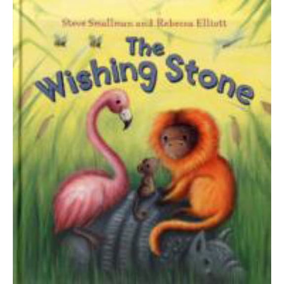 Pre-Owned The Wishing Stone (Storytime (Hardcover) 1848353693 9781848353695