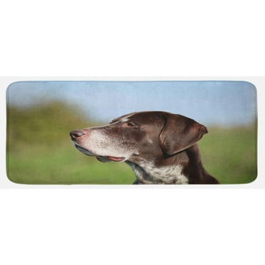 Hunting Kitchen Mat, German Short Haired Pointer in Wilderness Portrait Photograph Kurzhaar Pet Dog, Plush Decorative Kitchen Mat with Non Slip Backing, 47" X 19", Multicolor, by Ambesonne