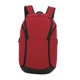 thumbnail image 3 of Mochila de baloncesto Strade Fareast Limited Bolsa de Almacenamiento para equipo de fútbol Bolsa de Natación Multifuncional 25 L Rojo, 3 of 8