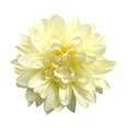 thumbnail image 1 of Artificial Flowers Outdoor Spring Summer Decoration UV Resistant Fake Flower, Imitation Flowers for Arrangements Wedding Decoration Table Centerpieces, for Home Office Summer Holiday Party Decor, 1 of 4