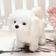 thumbnail image 2 of Juguete eléctrico de peluche para cachorros y mascotas para pasear y ladrar perros para niños, 2 of 2