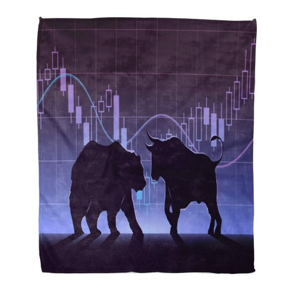 NUDECOR Flannel Throw Blanket Black Street Stock Exchange Trading The Bulls and Bears Soft for Bed Sofa and Couch 50x60 Inches