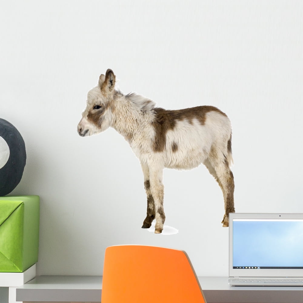 Young Donkey Wall Decal Sticker by Wallmonkeys Vinyl Peel and Stick