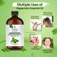 thumbnail image 3 of TRATAK ORGANICS Peppermint Piperita Essential Oil, 100% Pure Therapeutic Grade, 4 fl oz (Pack of 2), 3 of 7