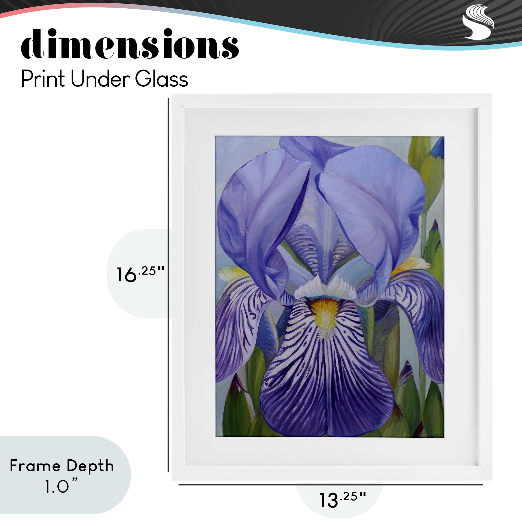 Stupell Industries Blooming Purple Iris Petals White Framed Print Under Glass, design by Violeta Vollmer