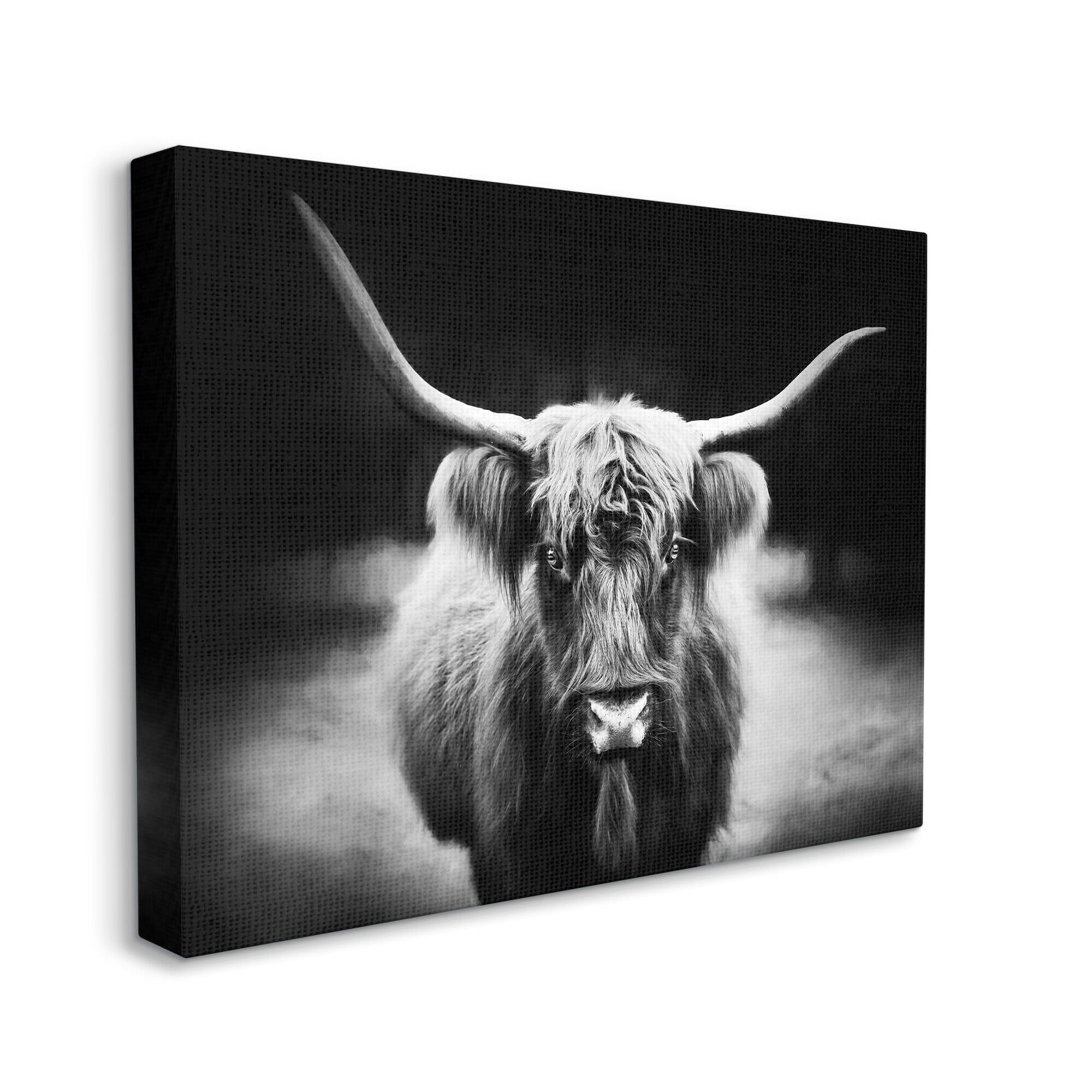 Stupell Industries Bold Longhorn Portrait Black White Cattle Photography, 30 x 24,Design by PHBurchett