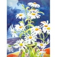 thumbnail image 1 of 11 x 15 Po. Fleurs - Marguerite Drapeau&44; Taille du Jardin, 1 of 1