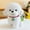 White, variant on bxhwj Adorable Puppy Stuffed Animals Toy, Soft Cuddly Plush Dog for Cuddles, Safe & Washable Sensory Toy for Kids, Interactive Companion for Boys and Girls, Holiday Gift