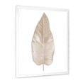 thumbnail image 3 of Designart 'Dried Leaf Plant Beige On White Background' Traditional Framed Art Print, 3 of 4