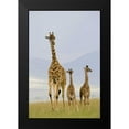 thumbnail image 2 of Parker, Susann 13x18 Black Modern Framed Museum Art Print Titled - Savannah Strut, 2 of 5