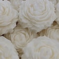thumbnail image 3 of Souvenir Peonia 20 pzas, 3 of 4