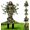 Type-c, variant on Fairy Garden Stakes Flat Decor, 2D Acrylic Elf Yard Sign for Garden Decoration, Waterproof Tree Man Statue Lawn Stake, Flower Pot Accessory for Patio Backyard, Whimsical Gifts for Plant Lovers