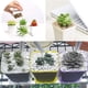 thumbnail image 3 of Nvzi Paquete de 24 macetas de plástico cuadradas para vivero, macetas de plástico de 3 pulgadas, maceta con bandeja y platillo para decoración de interiores, exteriores,color blanco, 3 of 5