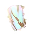thumbnail image 1 of Kenally Protector de parabrisas de Motor para R15 V3 2017 ~ 2020 Accesorios para motos fondo transparente colorido, 1 of 1
