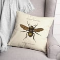 thumbnail image 3 of Creative Products Vintage Bumblebee Diagram 18x18 Spun Poly Pillow, 3 of 3