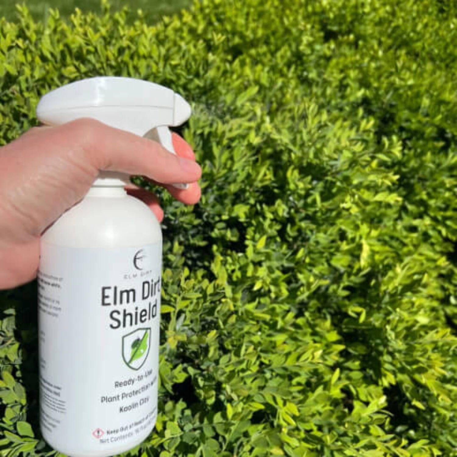 Shield, All Natural Pesticide