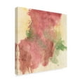 thumbnail image 2 of Trademark Fine Art 'Rouge Growth II' Canvas Art by Chris Paschke, 2 of 3