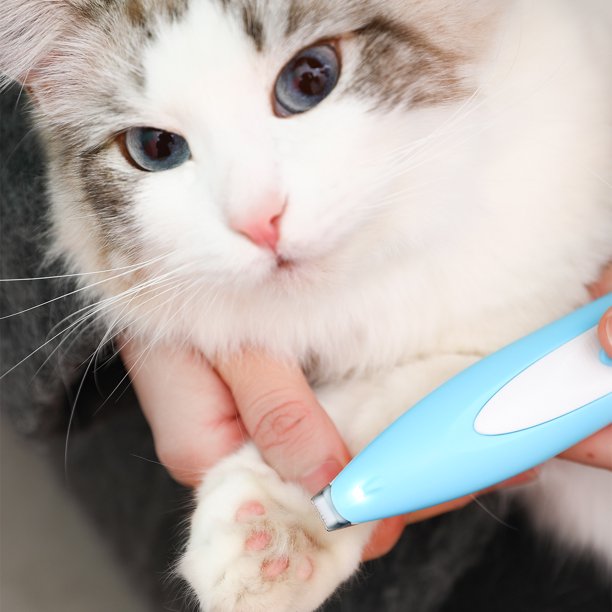 Afeitadora eléctrica para pelo de perros y gatos, pulidora de uñas, cortadora de pelo de patas de gato, cortadora eléctrica, herramienta de limpieza duradera