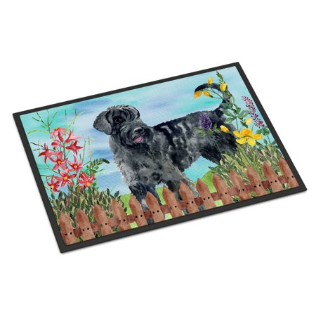 - Giant Schnauzer Spring Door Mat