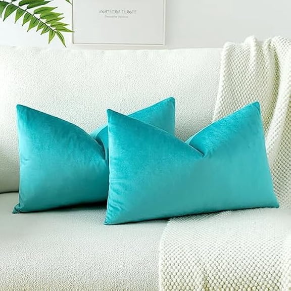 Eryueer Set of 2 Velvet Soft Solid Cushion Covers 30x50 cm Decorative Throw Pillow Covers Soft Lumbar Cushion Case Couch Home Decor Throw Pillow Cases for Sofa Bedroom 12x20 Inch (Mint)