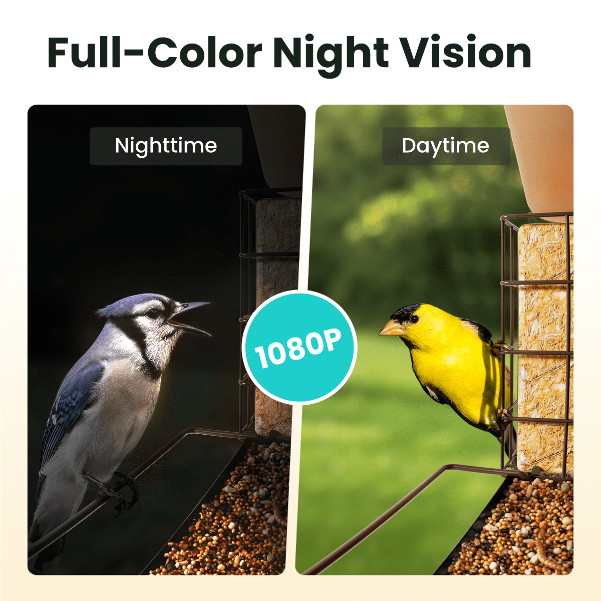 Birdfy Smart Bird Feeder with Camera, 1080P HD 60FPS Video, AI Bird Identification Lifetime Free, Night Vision, Metal Bird Feeder, Gift for Bird Lovers, Metal V AI