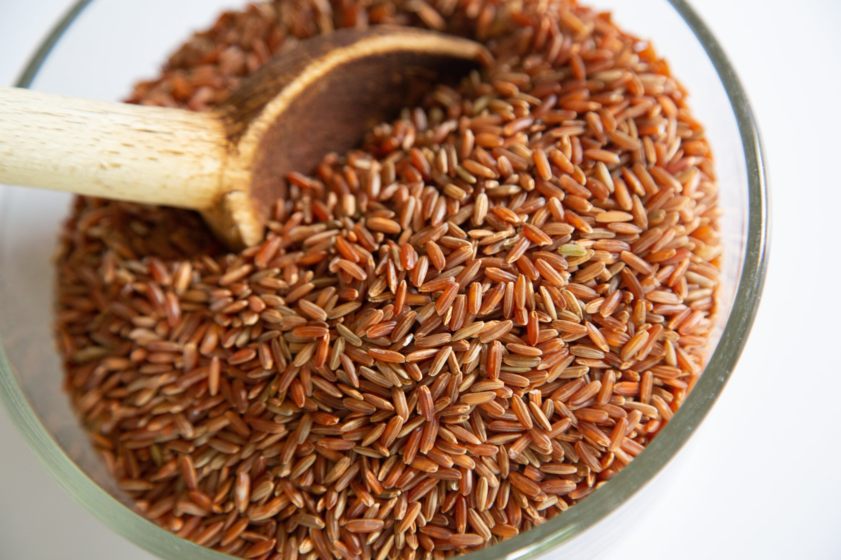 Ralston Family Farms Red Rice, 25 Pound Bucket, Ancient Grain, Non-GMO, Naturally Gluten Free, Red Artisanal Rice Grown in USA