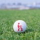 thumbnail image 2 of Soidarity Marcador de pelota de Golf, herramienta de alineación de señal de Humor para adultos, plantilla de marcador de señal, marcador delineador DIY, Golf No.1 Soidarity OD015907-01, 2 of 6