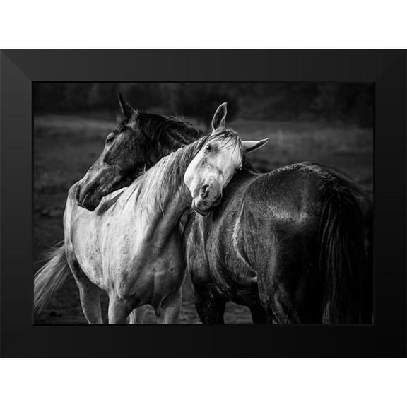 Chapa, Niko 14x11 Black Modern Framed Museum Art Print Titled - Warm Rain