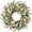 Multicolor, variant on 24’’ Real Touch Norfolk Pine Wreath Artificial Christmas Wreath for Front Door Green Wreaths Christmas Decorations for Winter Farmhouse Wall Indoor Outdoor Home Holiday Xmas Decor