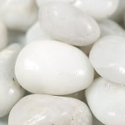 Piedra White Polished Pebble 12 In. X -12 In. 40Lb Bag