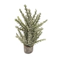 thumbnail image 2 of Christmas Mini Pine Tree Small Flocked Farmhouse Decoration Holiday Table Top Mantle Home Decor, 2 of 4