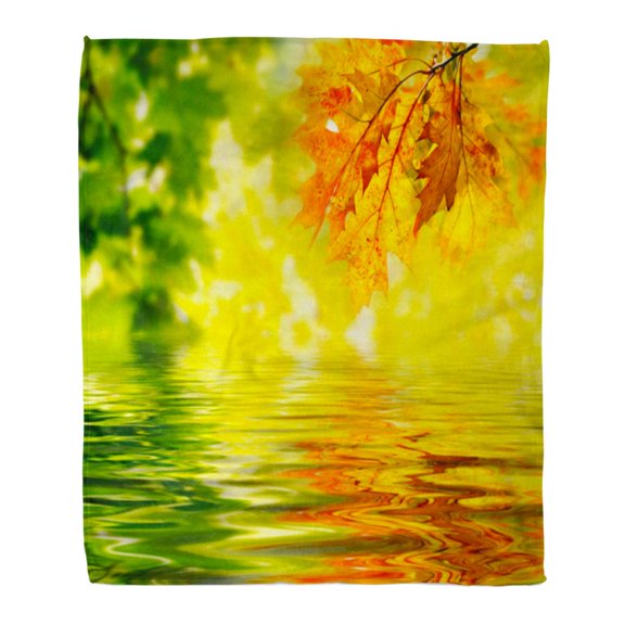 SIDONKU Throw Blanket Warm Cozy Print Flannel Yellow Nature Colorful Autumn Leaves Reflecting in The Water Orange Landscape Comfortable Soft for Bed Sofa and Couch 58x80 Inches