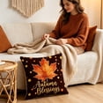 thumbnail image 2 of Btomtd Pumpkin Pillow Covers 18 x 18 for Thanksgiving, Fall Decorative Pillow Cases, Soft Couch Cushion Covers for Sofa Bedroom, D, 2 of 6