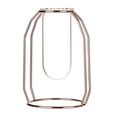 thumbnail image 1 of Geometric Test Tube Vase with Metal Frame, Transparent Glass Planter Hydroponics Decoration, 1 of 6