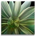thumbnail image 2 of Metal Artscape MA10080 32 X 32 in. Aster Single Paneled Xl Metal Wall Art, 2 of 2