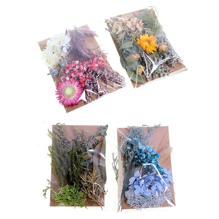 Dried Flowers For Candle Making Natural Pressed Flowers Colorful DIY Art  Floral Decors Collection Gift Craft 2 