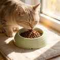 thumbnail image 5 of Pet Bowls Dog Bowls Cat Bowls Elevated Raised Neck Protection 15 Degree Tilt Non Slip Anti Tip Plastic Food Water Bowl for Cats Small Dogs Indoor by PALIFEUR, 5 of 7