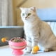 thumbnail image 5 of Juguete Para Gatos Con Ventosa, Tocadiscos, Palo Para Gatos Con Bola De Hierba Gatera, Juguete Divertido Interactivo Para Gatos matsuzay PT002667-03, 5 of 6