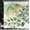 Cadet Blue Eggshell, variant on Woodland Shower Curtain, Birch Trees in The Forest Summertime Wildlife Nature Outdoors Themed Cloth Fabric Bathroom Decor Set with Hooks