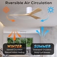 thumbnail image 3 of Matthews Fans - Irene-3H 3-Blade 42 Inch Flush Mount Ceiling Fan In Contemporary, 3 of 6