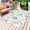 Green, variant on Beach Coastal Outdoor Rug for Patio/Deck/Porch, Non-Slip Large Area Rug 3 x 5 Ft, Ocean Nautical Starfish Coral Seashells Indoor Outdoor Rugs Washable Area Rugs, Reversible Camping Rug Carpet Runner