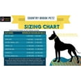 thumbnail image 4 of LAICAIW Country Brook Petz-Orange Martingale Heavy Duty Nylon Dog Collar-21 Vibrant Color Options (3/8 Inch Width, Micro), 4 of 7