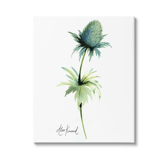 Stupell Industries Simple Thistle Plant Botanical & Floral Painting Gallery Wrapped Canvas Art Print Wall Art, 16 x 20