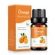 thumbnail image 1 of Aromatherapy Water Soluble Oil Aromatherapy Suitable For Humidifier 10ml, 1 of 4