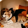 thumbnail image 4 of Dog Cat Bat Wings Costume with Pumpkin Bell, Funny Halloween Cosplay Dress-Up Accessories, Spooky Fall Festival Party Photo Prop for All Breeds Black XS, 4 of 5