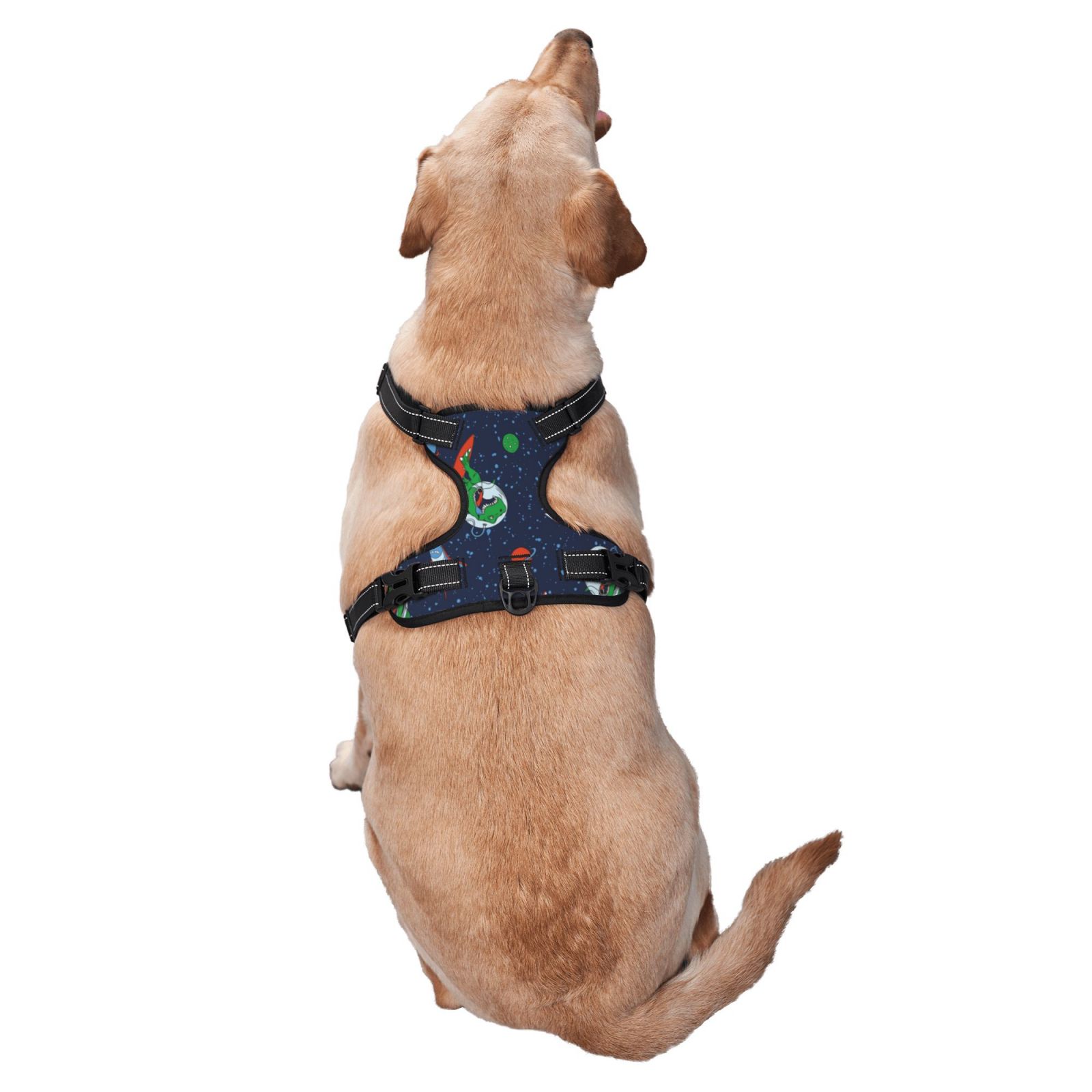 Vsdgher Dinosaur Astronaut Space Surfing Pattern Dog Harness,No Pull Pet Harness with Soft Padded Handle,Adjustable Reflective Vest with 2 Buckles,4 Slide Buckles,S-XL Small