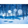 thumbnail image 2 of Sono, Hidenori 18x14 Black Ornate Wood Framed with Double Matting Museum Art Print Titled - Fairyland, 2 of 4