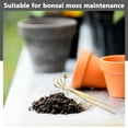 thumbnail image 5 of PTOOTP Stainless Steel Bonsai Tweezers for Precise Moss Arrangement, Gardening, Plant Care, and Detailed Horticulture Work, 5 of 8