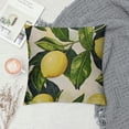 thumbnail image 2 of PHYHOO Fresh Pillow Covers , Summer Yellow Decorations Throw Pillow Cases Outdoor Cushion Cover for Home Couch Bed White, 2 of 5
