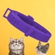 thumbnail image 2 of WDOplteas Collar antipulgas Anti-Ansiedad Impermeable Mascota Perro Gato Collar repelente insectos (Púrpura), 2 of 9